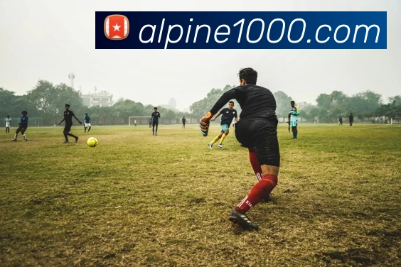 App 展示图